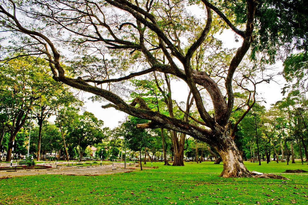 Viharamahadevi Park Colombo