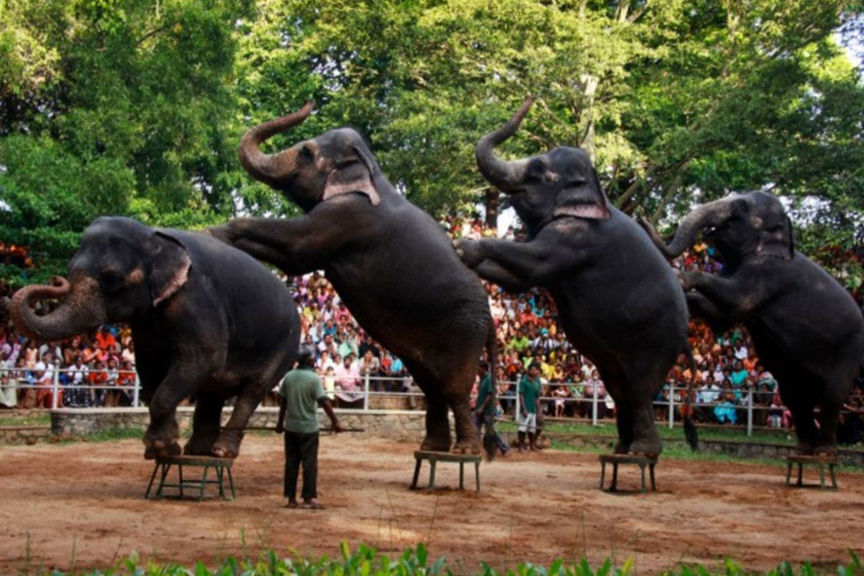 National Zoological Gardens of Sri Lanka - Dehiwala Zoo