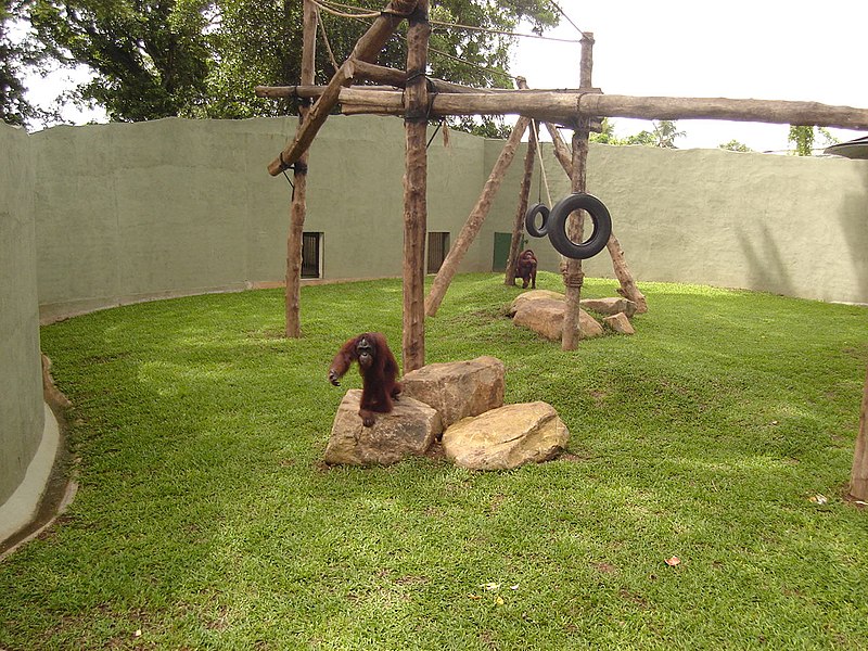 National Zoological Gardens of Sri Lanka - Dehiwala Zoo