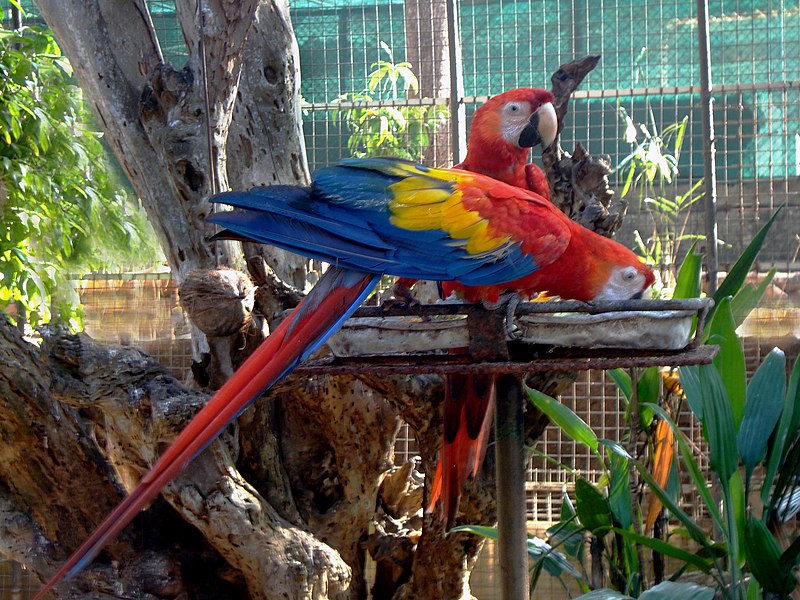 National Zoological Gardens of Sri Lanka - Dehiwala Zoo