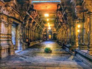 Sri Ponnambalam Vanesar Kovil - Colombo Sri Lanka