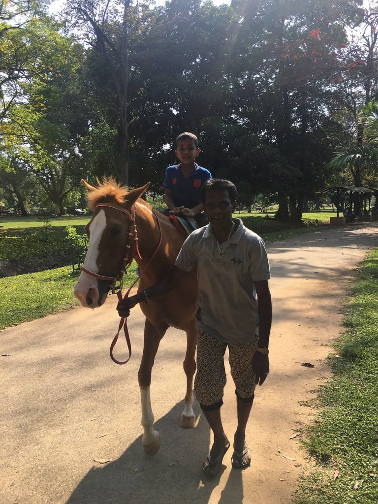 Horse Riding Viharamahadevi Park Colombo