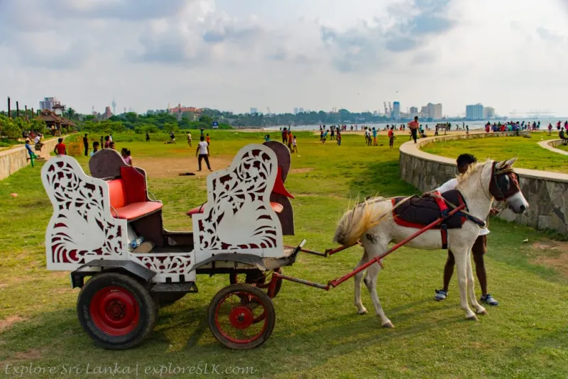 Crow Island Beach Park Colombo