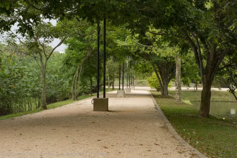 Weli Park - Urban Wetland Park - Nugegoda