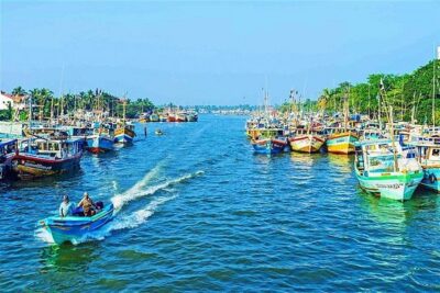 08 Nights in Magical Sri Lanka - Arrival in Negombo: beach time plus a real fish-market morning