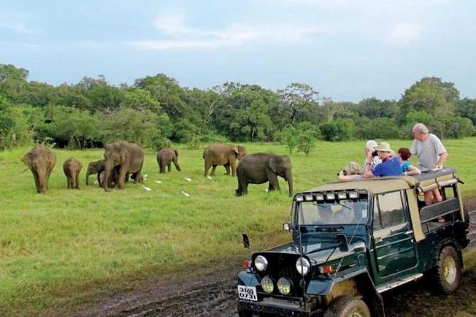 08 Nights in Magical Sri Lanka - Ella viewpoints: sunrise options, Nine Arches Bridge, and waterfall breaks