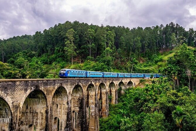 10 Days/ 9 Nights - Heritage Wildlife and Waves in Sri Lanka - Rock temples and Minneriya elephants: a big culture-and-wildlife day