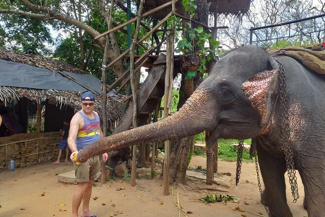 12 Days Sri Lanka Island Adventure and Wild Tour - Mirissa Beach Time: A Whales and Chill Mix