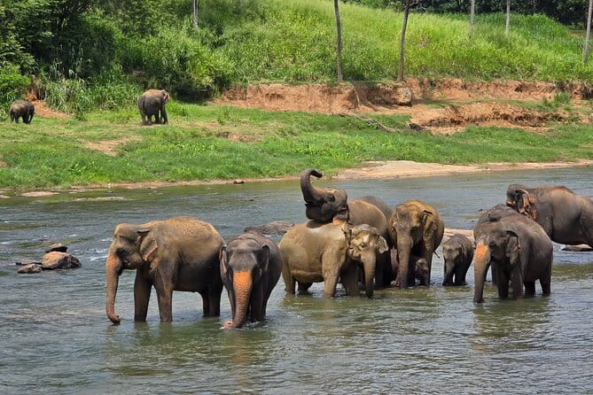 12 Days Tour Grand Discovery of Sri Lanka - Colombo and Negombo: Galle Face, Pettah Market, and a lagoon boat ride