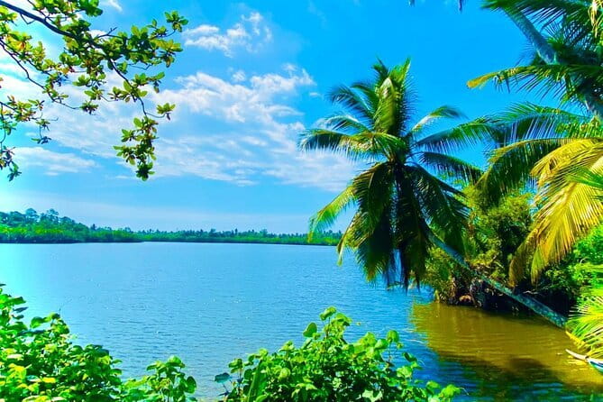 14 Days/ 13 Nights -Sri Lanka Tour on Culture, Wildlife & Beaches - From Ridi Viharaya to Dambulla caves: ancient Sri Lanka in a single sweep