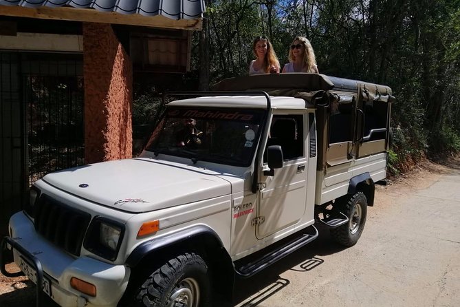 14 Days Sri Lanka ALL in One Classic Tour - Day 9: Yala National Park Safari Day