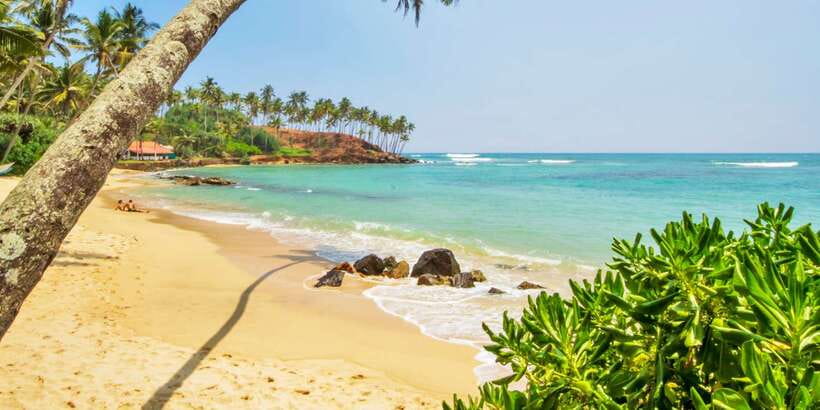 2-Day Whale Watching & Southern Sri Lanka Tour - Quick hits you’ll care about