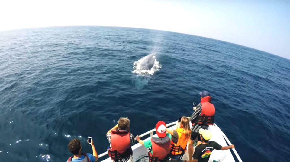 2-Day Whale Watching & Southern Sri Lanka Tour - The guide and group feel: small group, clear explanations, careful driving