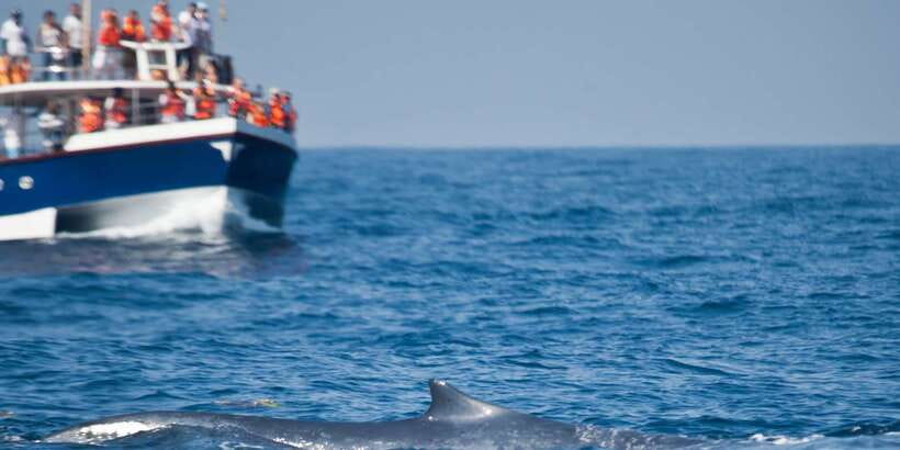 2-Day Whale Watching & Southern Sri Lanka Tour - The Galle Fort guided walking tour: walls, lighthouse, and the port-city feel