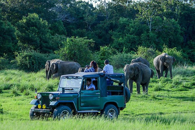 2 Days Tour of Double Safari (Yala & Udawalawe) - All Inclusive - Yala National Park Evening Safari: Big Park Energy at the Right Hour