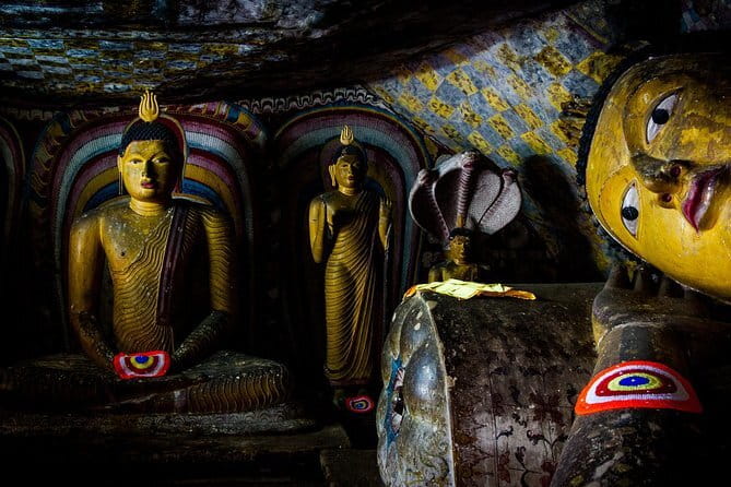 2 Night /3 Days-Highlights of Sri Lanka (Days Can be extended) - Day 1 in Kandy: Orphan elephants, tea stop, and Temple of the Tooth at night