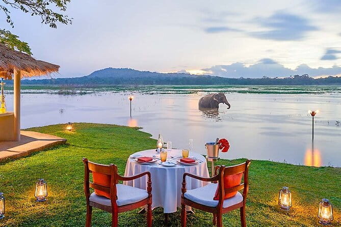 2 Night /3 Days-Highlights of Sri Lanka (Days Can be extended) - The driver and private pace: where this tour really shines