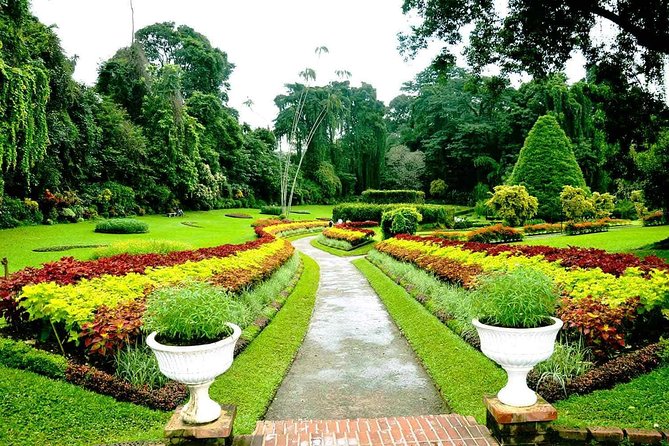 3 Days Tour to Kandy Nuwara Eliya & Sigiriya from Colombo - What’s included at your Kandy hotel (and what you should double-check)