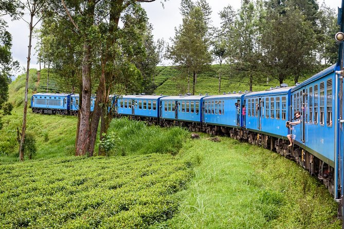 4 Days Tour to Kandy, Sigiriya & Nuwara Eliya - The Colombo-to-Tea-Country Logic Behind This 4-Day Route