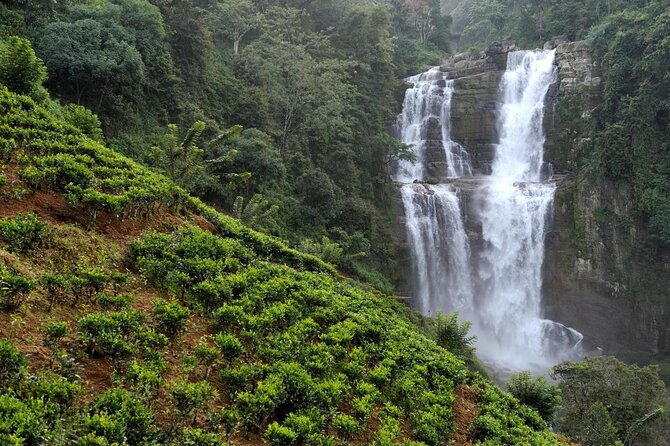 6 Days Nature And Culture Tour - Key things that make this tour worth your attention