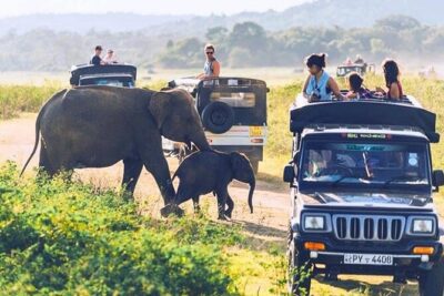 6 Days Tour of Sri Lanka - Day 1: Sigiriya Lion Rock and Pidurangala’s quieter viewpoints