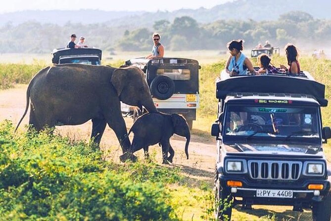 6 Days Tour of Sri Lanka - Day 1: Sigiriya Lion Rock and Pidurangala’s quieter viewpoints