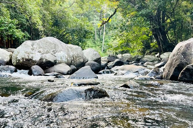 6Days Hill country Private Tour in Sri Lanka - First Impression: A Hill-Country Trip With Less Hassle