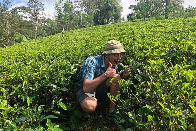 7 Days Sri Lanka Tour Chauffeur Wildlife and Heritage Adventure - Day 2: Sigiriya Lion Rock, Hiriwaduna village life, spice garden, and Kandyan dance