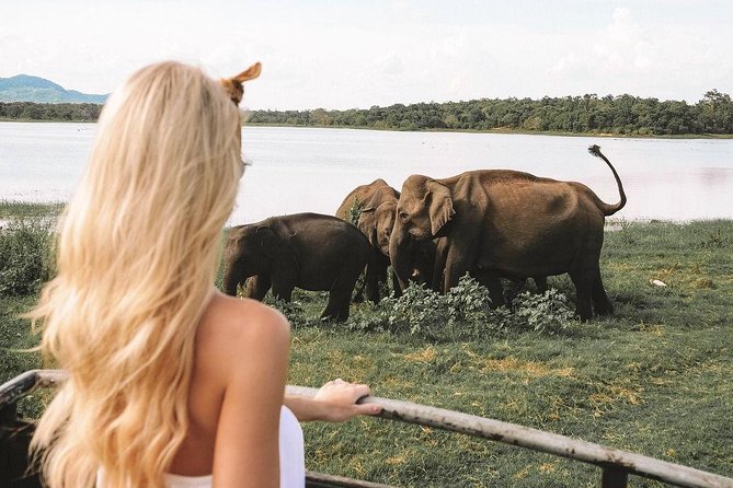 7 Nights Private Tour Of Sri Lanka - Day 3: Dambulla Golden Temple and the Tooth Relic in Kandy’s orbit