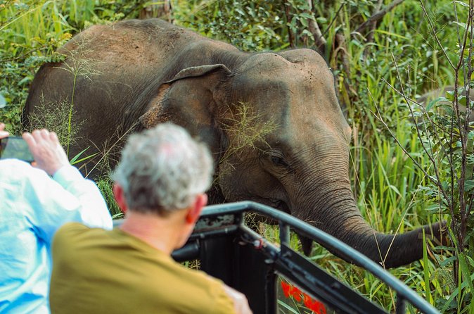 8 Day Private Sri Lanka Tour with Chauffeur - Day 3: Spice Garden Lunch, The Tooth Relic at Night, and Kandy Culture