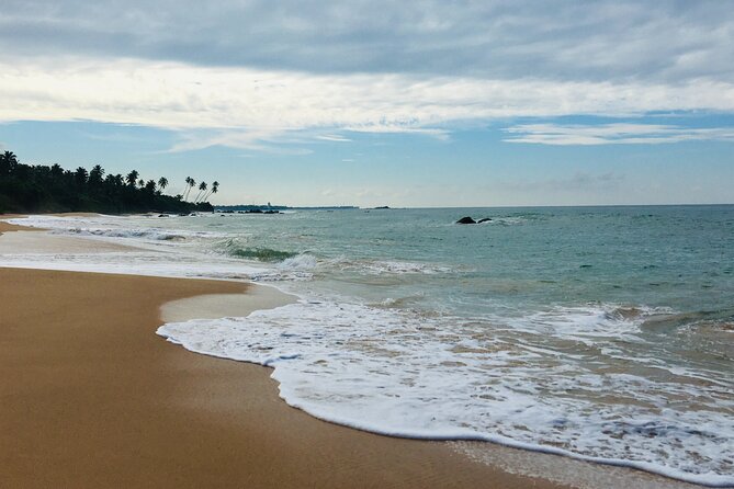 8 Day Private Sri Lanka Tour with Chauffeur - Day 5: Nanu Oya to Ella Train Ride, Nine Arches, and Ravana Ella Falls