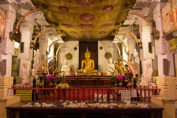 8 Days Private Guided Tour in Sri Lanka with accommodation (BB) - Key highlights you should care about