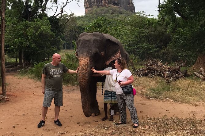 8 Days Private Guided Tour in Sri Lanka with accommodation (BB) - Your route in plain English: Colombo to Sigiriya, Kandy, Ella, Yala, Mirissa