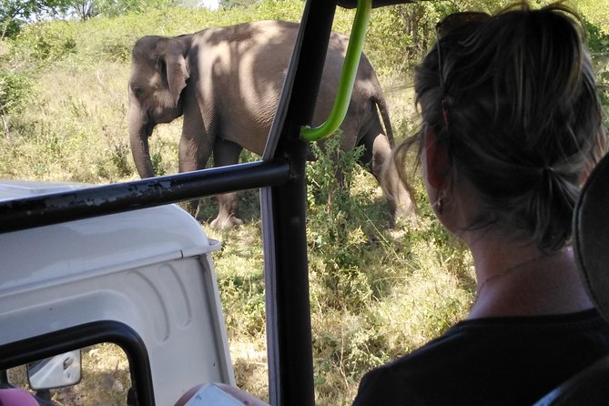 A Udawalawa Park safari, Tour from Colombo/Galle- (All inclusive) - Key things I’d plan around