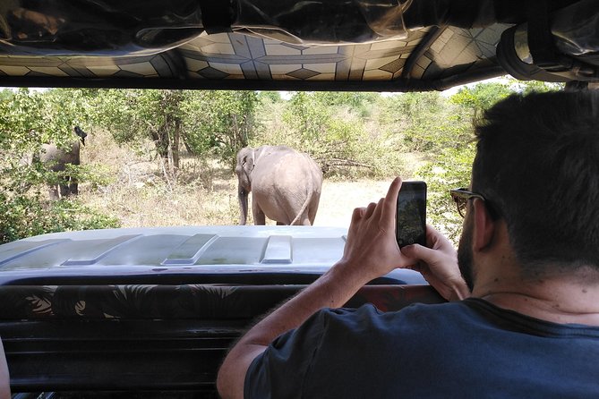A Udawalawa Park safari, Tour from Colombo/Galle- (All inclusive) - Udawalawe National Park: The 4WD Safari Window for Elephants and More