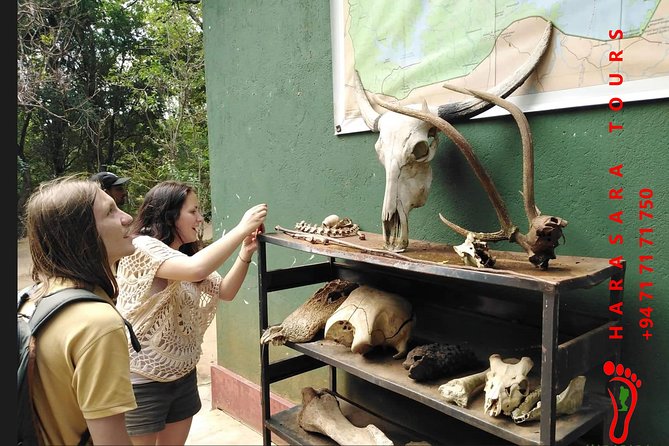 A Udawalawa Park safari, Tour from Colombo/Galle- (All inclusive) - Why the $195 Price Can Make Sense (If You Value Convenience)