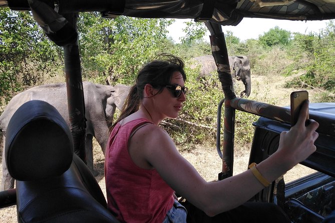 A Udawalawa Park safari, Tour from Colombo/Galle- (All inclusive) - Gayan’s Elephant-Welfare Angle: Why a Good Guide Changes the Safari