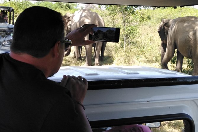 A Udawalawa Park safari, Tour from Colombo/Galle- (All inclusive) - The Drive From Colombo or Galle: Long Day, Low Stress