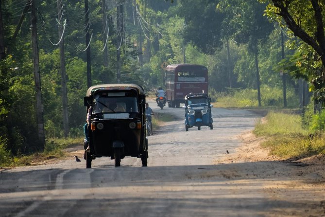 Airport Layover Colombo City tour - From Bandaranaike Airport to Colombo Sights: What to Expect