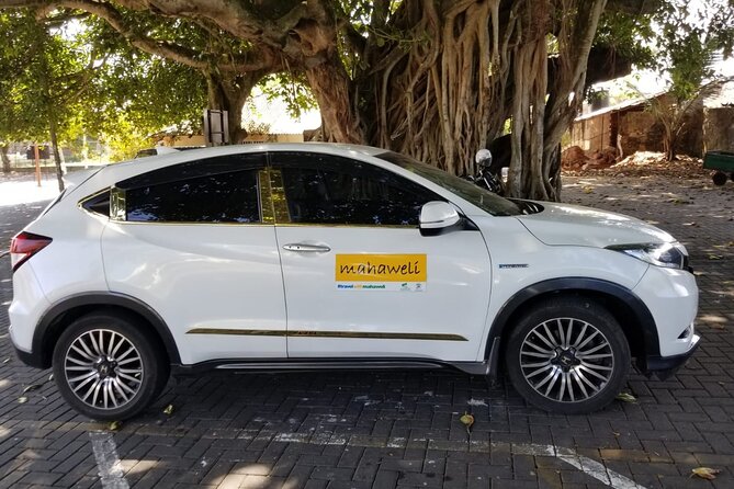 Airport to Kandy Drop - Who This Transfer Suits Best (and Who Might Want Another Option)