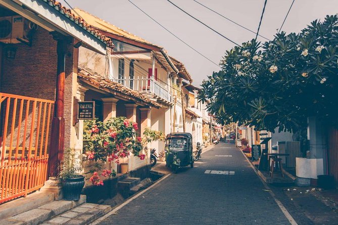 All Inclusive Galle Day Tour from Colombo & Negombo - Price and value: is $155 per person worth it?