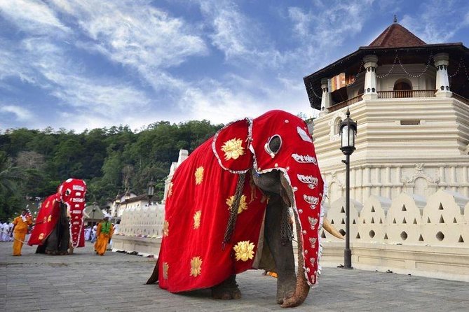 All Inclusive Kandy Private Day Tour From Colombo and Negombo - Stop 2: Royal Botanic Gardens, Peradeniya