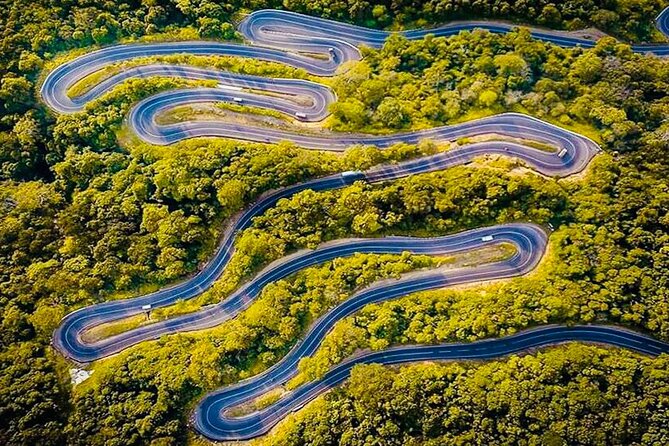 All Inclusive Kandy Private Day Tour From Colombo and Negombo - Stop 4: Udawatta Kele (Udawattekele) Forest Reserve