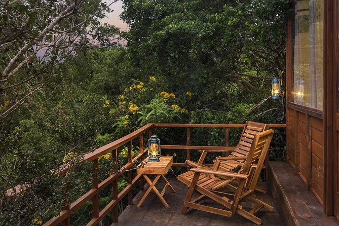 All Inclusive Leopard Nest Treehouse Safari in Yala - Evening game drive in Yala: what you’re really buying