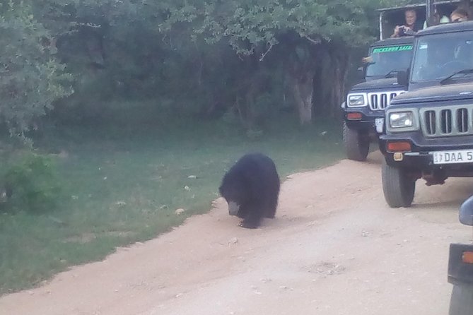 All inclusive Private jeep safari at Yala National park - Key points before you go