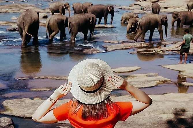 All-Inclusive Private tour in Sri Lankan Island 9 Day HB hotels - Key highlights you’ll feel on the trip