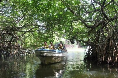 All-Inclusive Private tour in Sri Lankan Island 9 Day HB hotels - Day 1: Airport arrival, Negombo fish market, and lagoon time