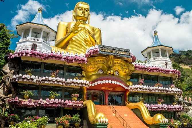 All Inclusive Sigiriya & Dambulla Day Tour from Colombo & Negombo - Private tour comfort: why pickup and a dedicated vehicle help