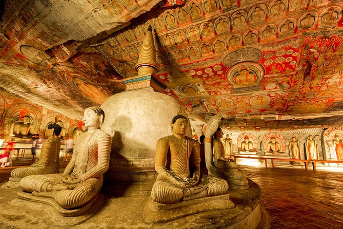 All Inclusive Sigiriya & Dambulla Day Tour from Colombo & Negombo - Service style: what the operator’s track record suggests