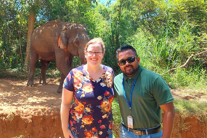 All Inclusive Udawalawe National Park Safari Day Tour from Colombo and Negombo - What happens during the 3-hour park visit